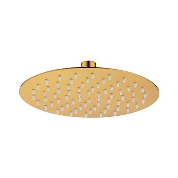 Picture of SS304 Shower head Gold matte